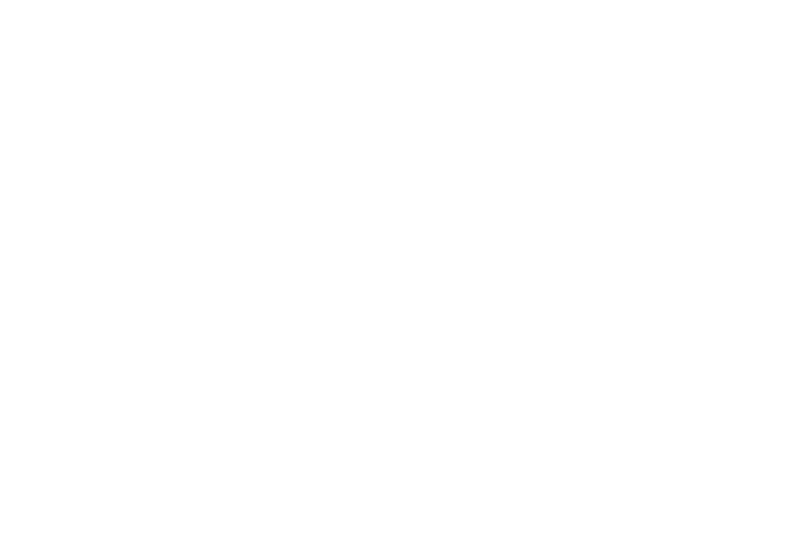 Best Visitor Attraction Award